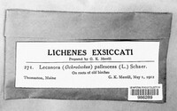 Image Associated With the Occurence